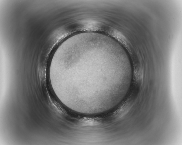 X0000084520534200703161549