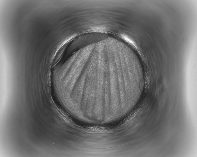 X0000084520535200703161549