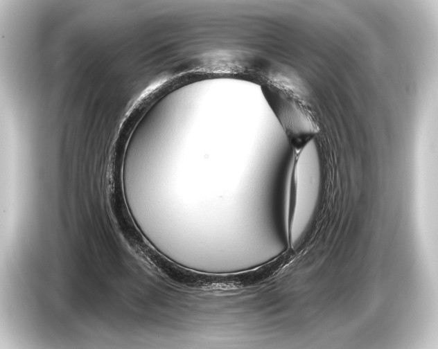 X0000084520536200703161549