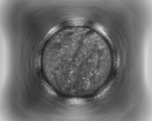 X0000084520537200703161549