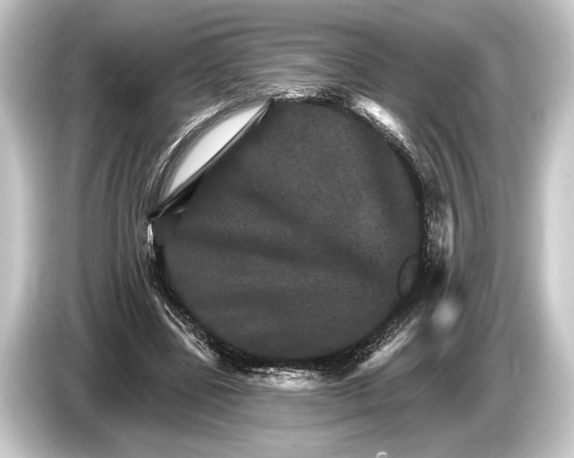 X0000084520539200703161549