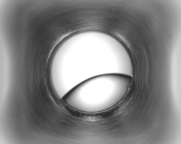 X0000084520540200703161549