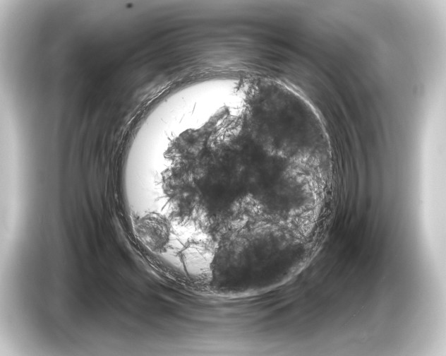 X0000084520541200703161549