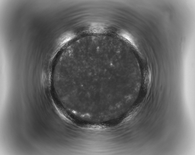 X0000084520542200703161549