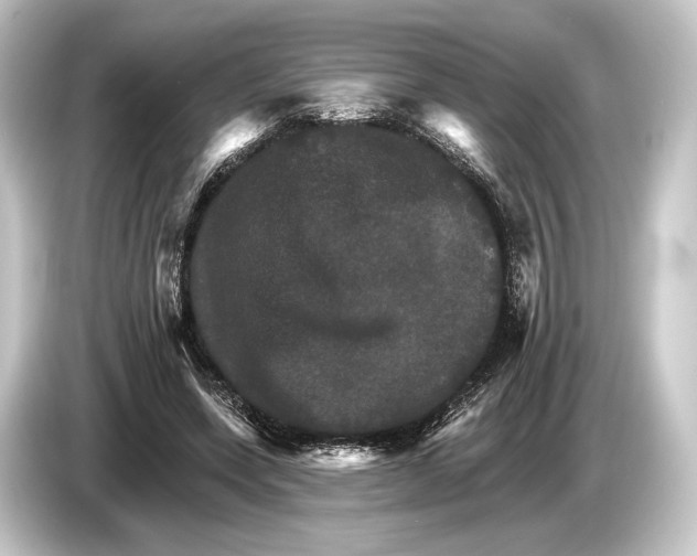 X0000084520543200703161549