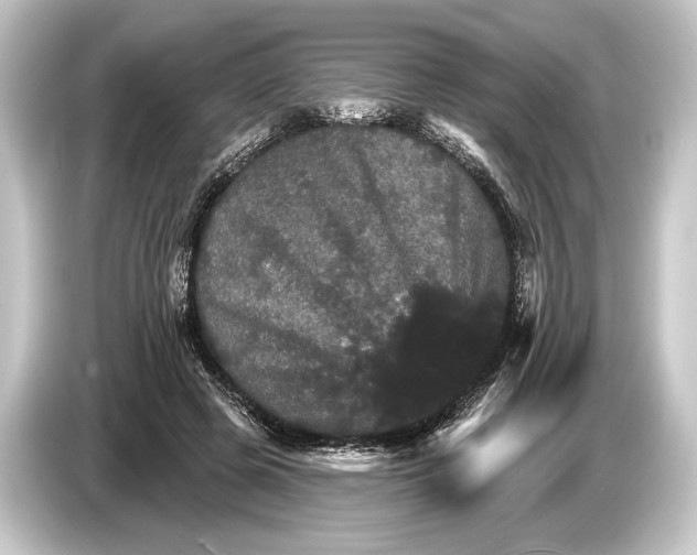 X0000084520545200703161550