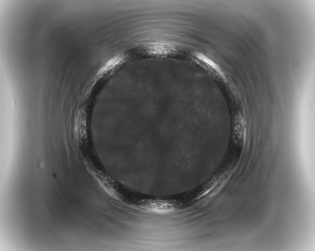 X0000084520547200703161550