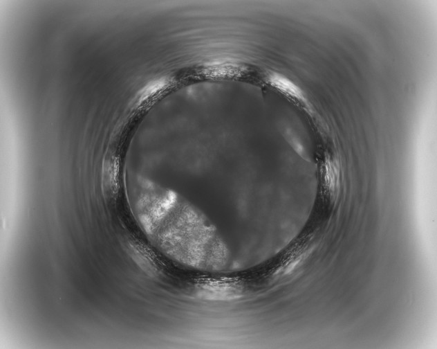 X0000084520550200703161550