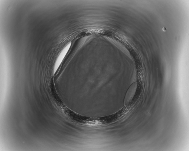 X0000084520551200703161550