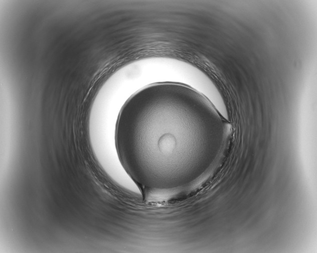 X0000084520552200703161550