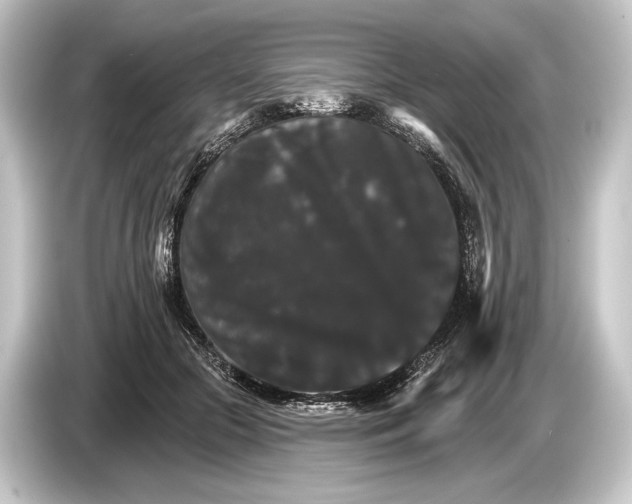 X0000084520553200703161550