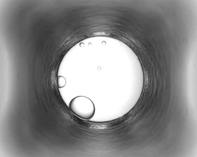 X0000084520554200703161550