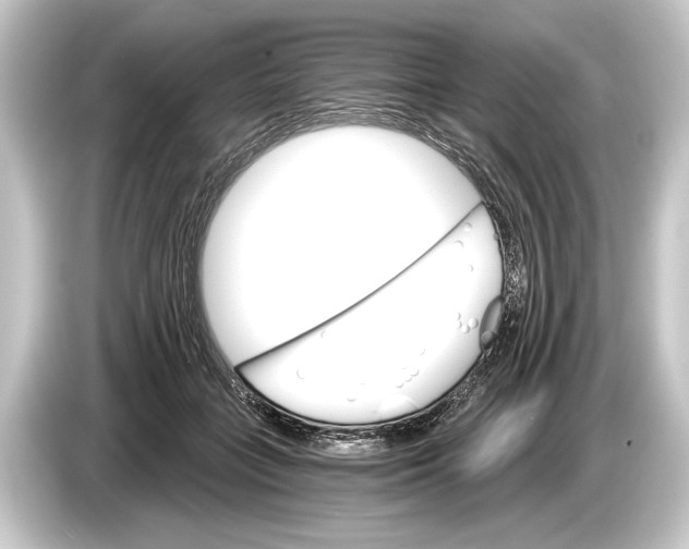 X0000084520555200703161550