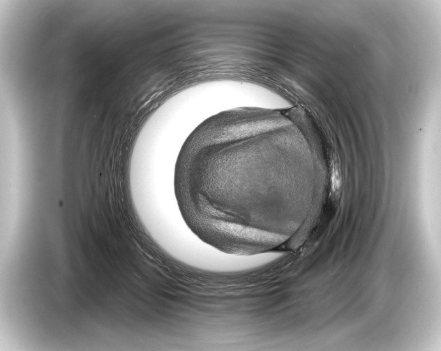 X0000084520556200703161550