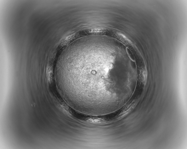 X0000084520557200703161550