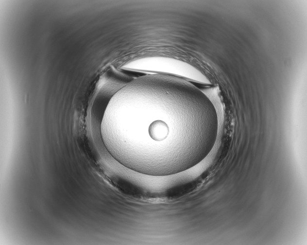 X0000084520558200703161550