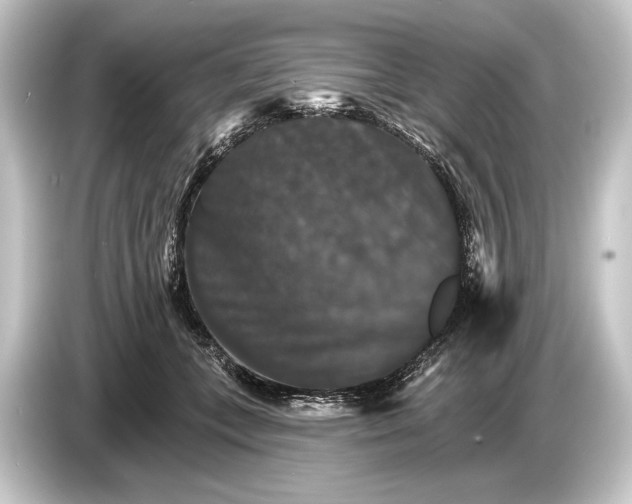 X0000084520559200703161550