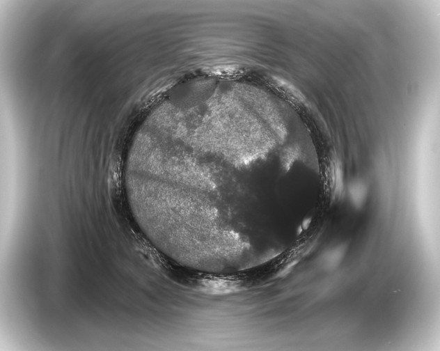 X0000084520561200703161550