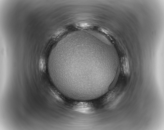 X0000084520562200703161550