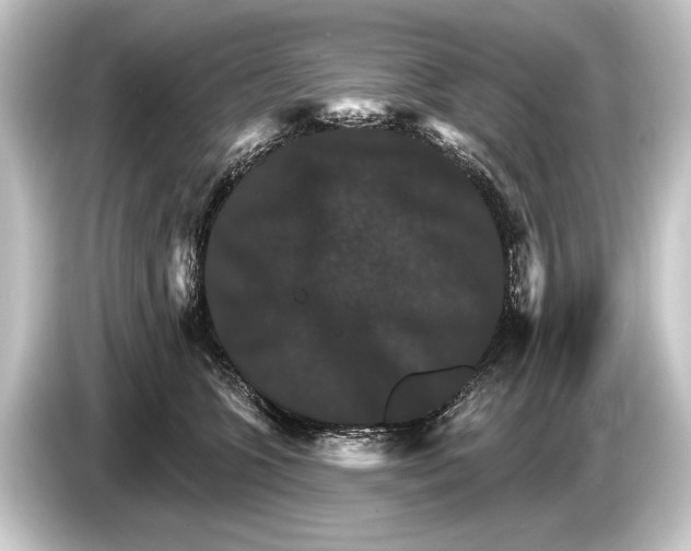 X0000084520563200703161550