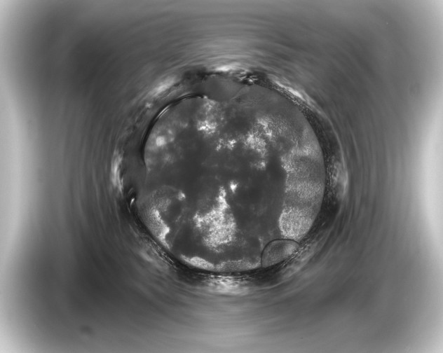 X0000084520565200703161550