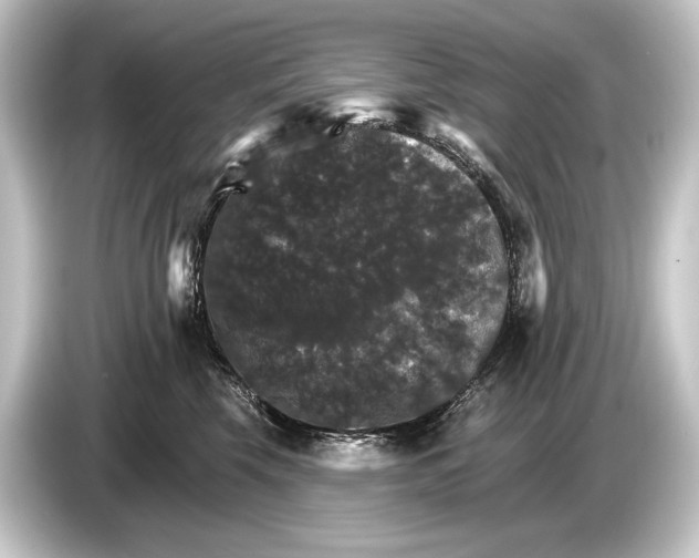 X0000084520569200703161550