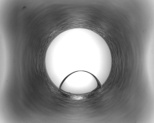 X0000084520570200703161550