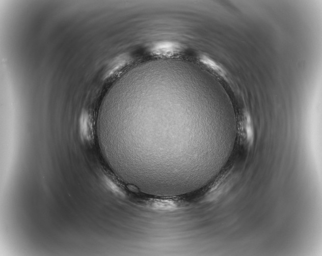 X0000084520572200703161550