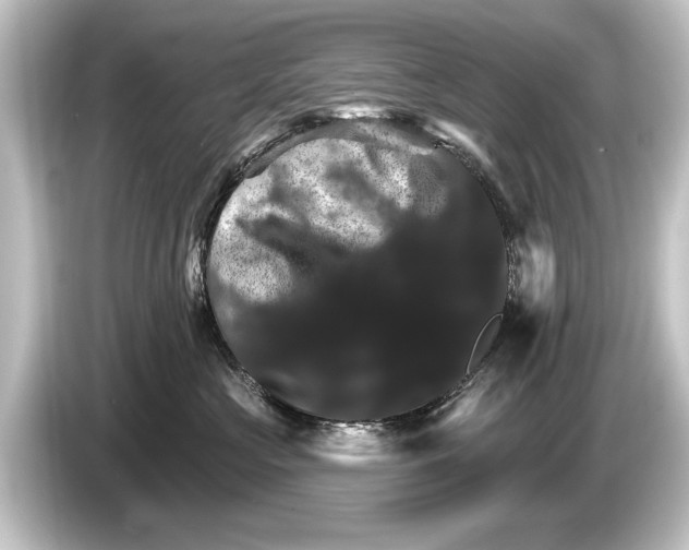 X0000084520573200703161550