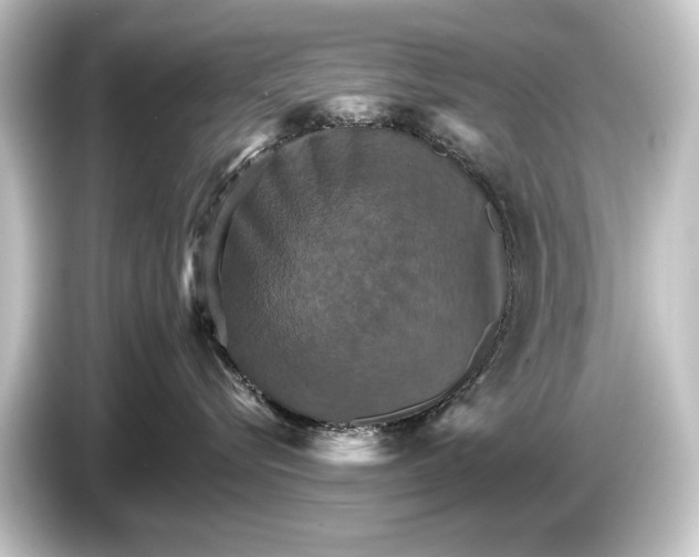 X0000084520576200703161550