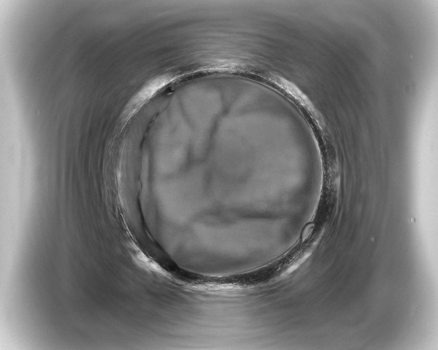 X0000084520577200703161549