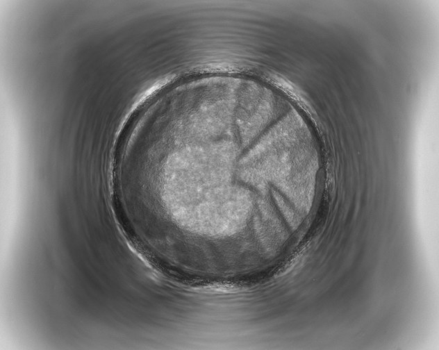 X0000084520578200703161549