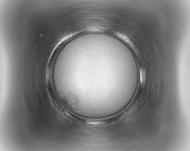 X0000084520579200703161549