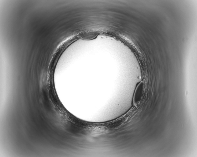 X0000084520583200703161549