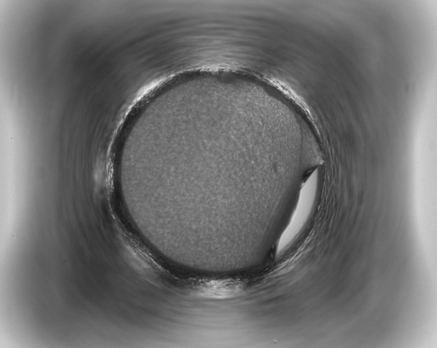 X0000084520584200703161549