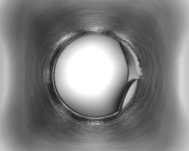 X0000084520587200703161549