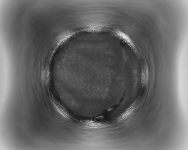 X0000084520588200703161549