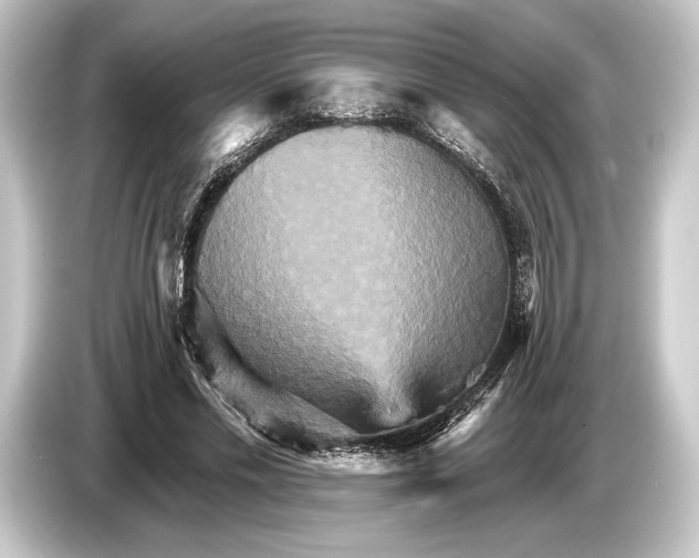 X0000084520589200703161549