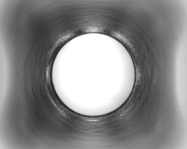 X0000084520590200703161549