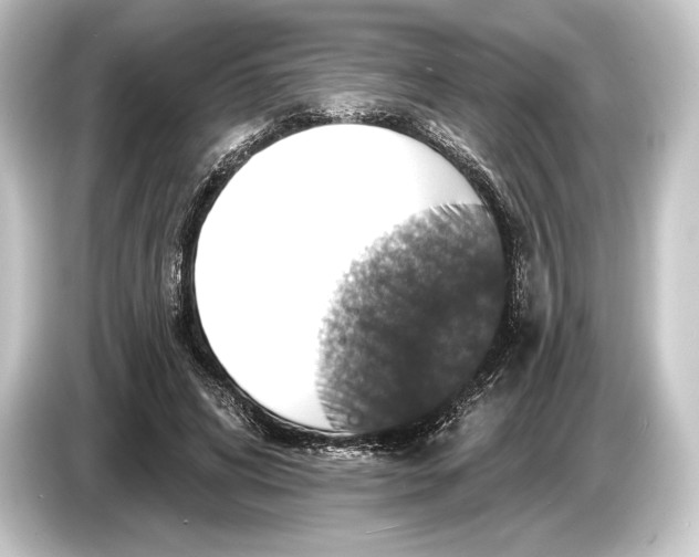 X0000084520592200703161549