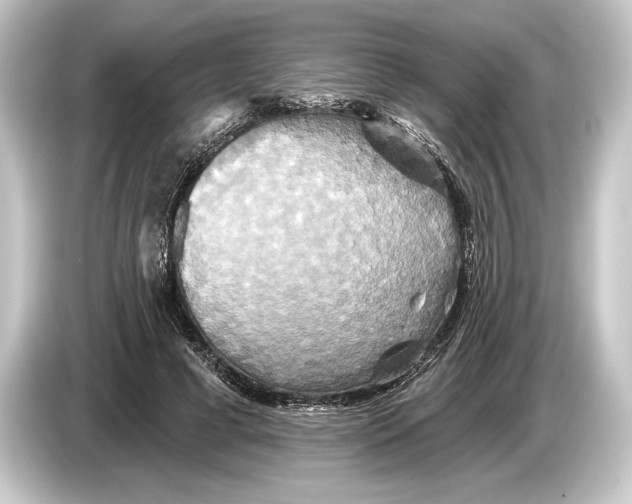 X0000084520593200703161549