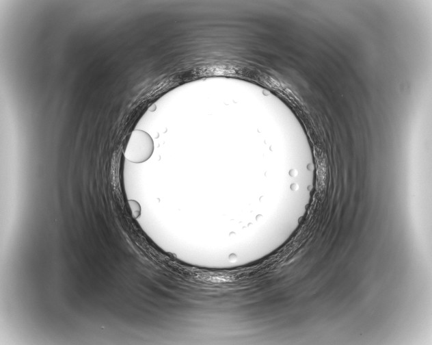 X0000084520594200703161549