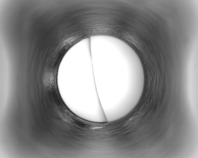 X0000084520595200703161549