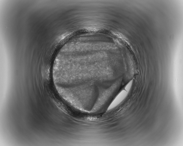 X0000084520596200703161549