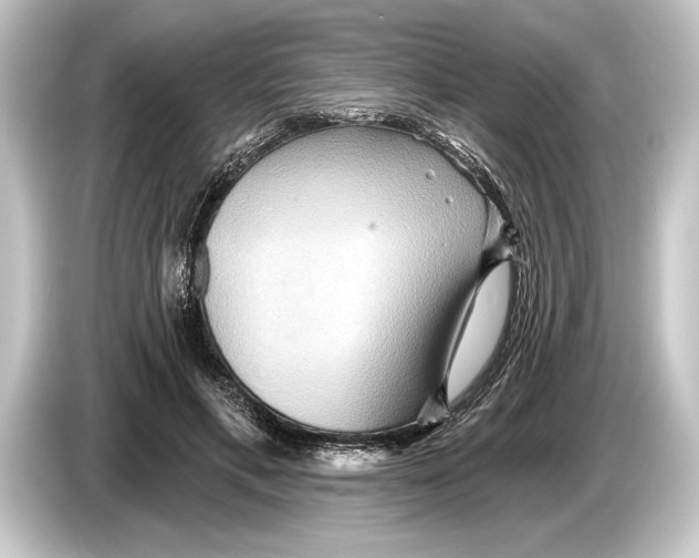 X0000084520597200703161549