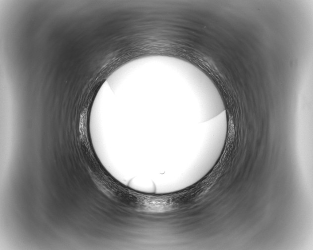 X0000084520598200703161549