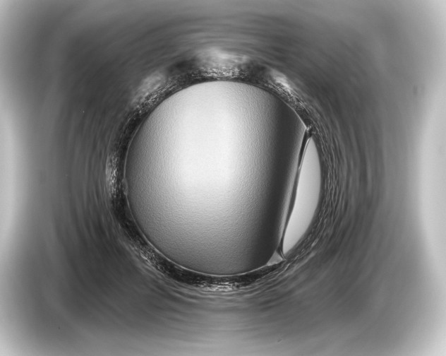 X0000084520600200703161549