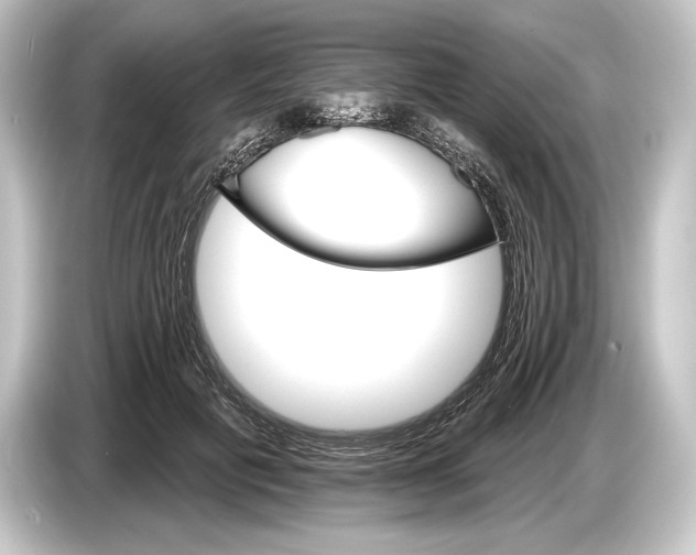 X0000084520601200703161549