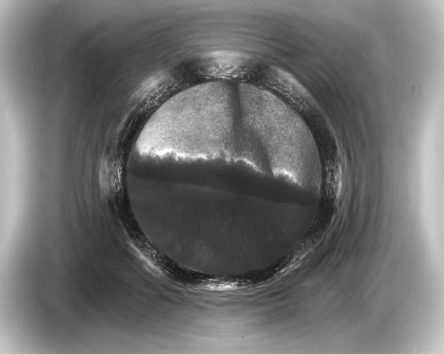 X0000084520602200703161549