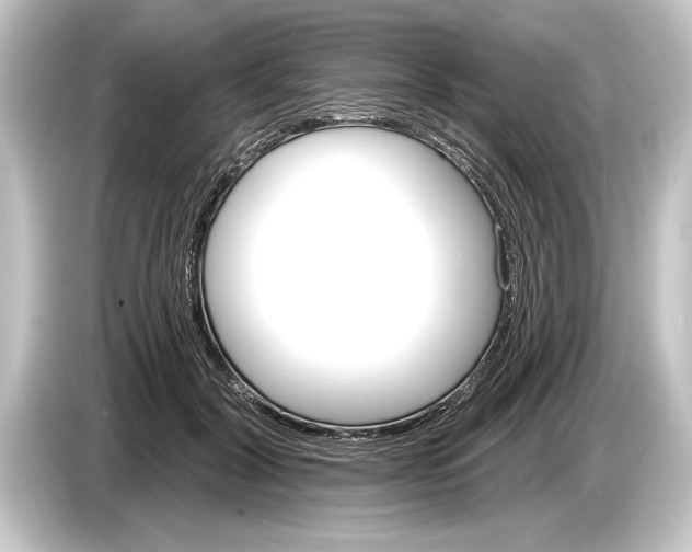 X0000084520604200703161549